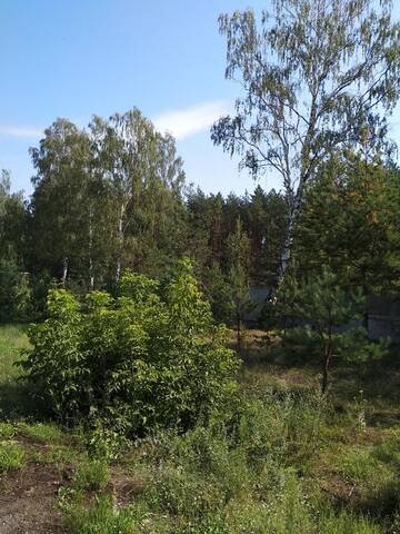 Фотографии Загородные дома Hunting house at Aleksander г. Pogost-Zagorodskiy (Беларусь) №3 Фото Загородные дома Hunting house at Aleksander г. Pogost-Zagorodskiy 3
